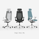 FlexiSpot BS11 Pro